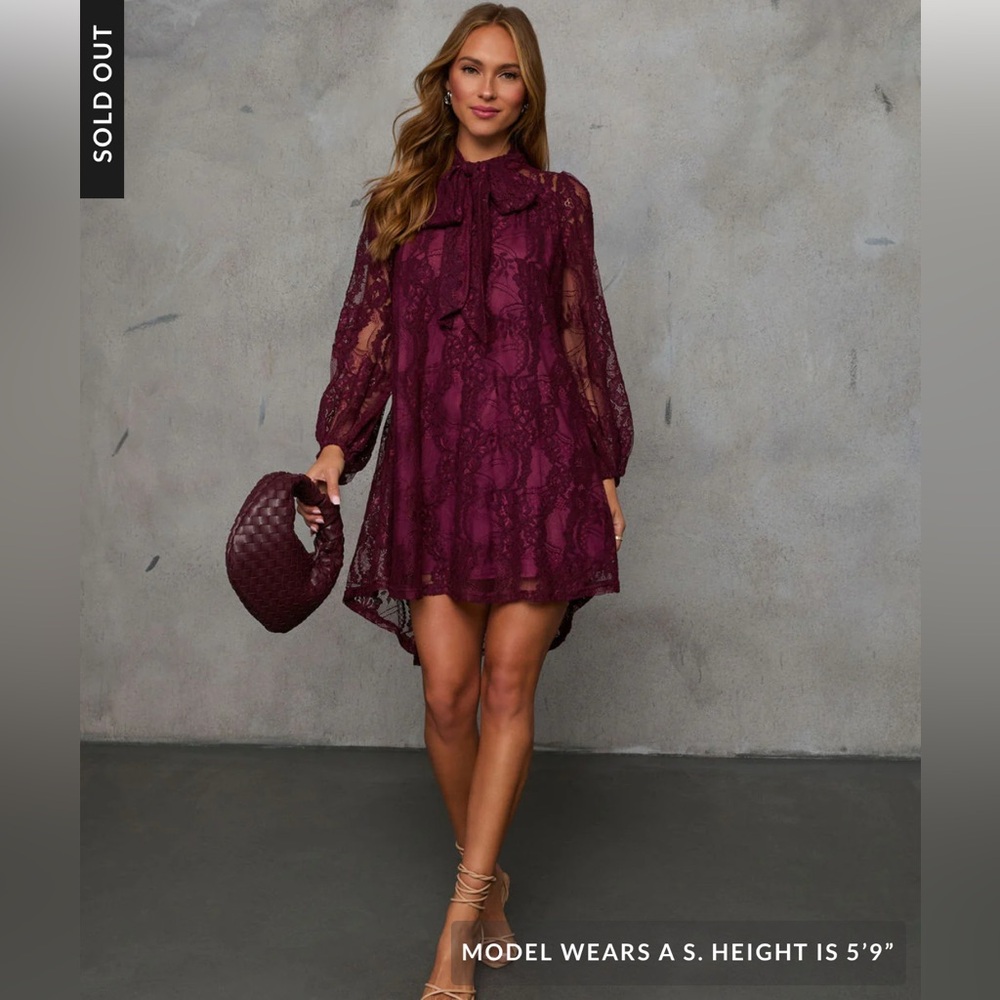 Elegant Lace Burgundy Dress
